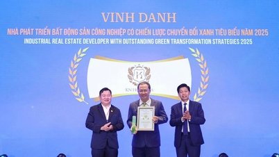 ក្រុមហ៊ុន KN Holdings ត្រូវបានគេផ្តល់កិត្តិយសជា "អ្នកអភិវឌ្ឍន៍អចលនទ្រព្យឧស្សាហកម្មជាមួយនឹងយុទ្ធសាស្រ្តផ្លាស់ប្តូរបៃតងឆ្នើមឆ្នាំ 2025"