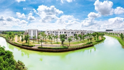 ڈونگ نائی: 1,000 ہیکٹر سے زیادہ رقبے کے منصوبے کے تمام قانونی مسائل حل ہو چکے ہیں