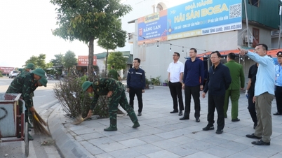 Władze Van Don Special Zone rozpoczęły kampanię generalnego oczyszczania środowiska, aby zapewnić porządek na swoim terenie.