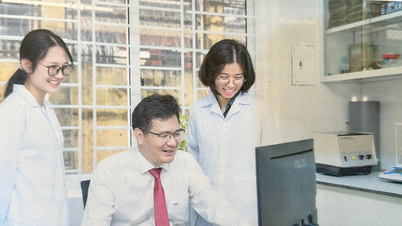 30 ans de contributions actives à la formation et à la recherche en sciences de l'environnement