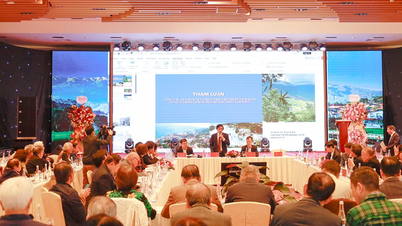 ស្នើដំណោះស្រាយសម្រាប់ការរៀបចំផែនការ និងការរៀបចំកន្លែងទេសចរណ៍ Sa Pa