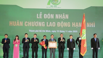 សាកលវិទ្យាល័យកសិកម្ម និងរុក្ខាប្រមាញ់ទីក្រុងហូជីមិញ មានគោលបំណងក្លាយជាសាកលវិទ្យាល័យស្រាវជ្រាវដ៏មានកិត្យានុភាពអន្តរជាតិ។