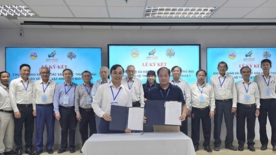 Thúc đẩy chế phẩm sinh học trên lúa: 'Tấm vé xanh' cho hạt gạo Việt