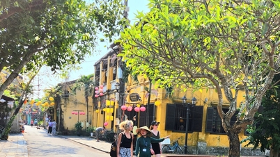 ចូលទស្សនាទីក្រុងបុរាណ Hoi An ដោយឥតគិតថ្លៃនៅថ្ងៃទី 4 ខែធ្នូ