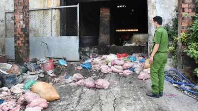 کشف یک مرکز غیرقانونی فرآوری چربی حیوانی