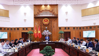 Представить в Политбюро инвестиционный проект по ландшафтной оси Красной реки.