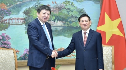 Ho Duc Phoc miniszterelnök-helyettes fogadta a Hoa Thiet csoport (Kína) elnökét