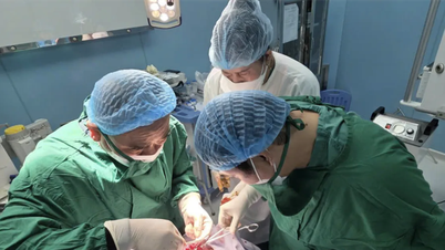 ऑनलाइन परामर्श, कोन दाओ में कई चोटों वाले मछुआरे को समय पर बचाया गया