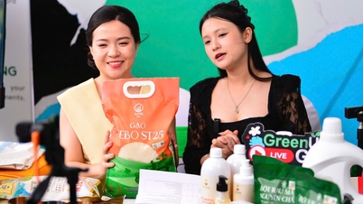 «Охота» за экологически чистыми продуктами со скидками до 50% на Mega Livestream Green Vietnam
