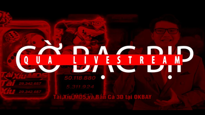 [Wideo] Oszustwa hazardowe na żywo