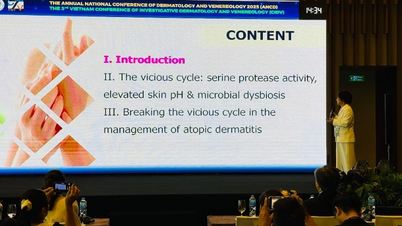 A szépséget megfelelően, a megfelelő helyen kell megalkotni.