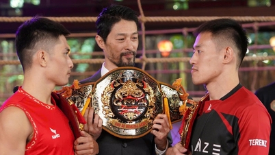 ការប្រកួត 'Super Martial Arts' ចំនួនពីររបស់ Johnny Tri Nguyen