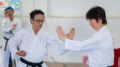 ទីក្រុង Karatedo ទីក្រុងហូជីមិញ បានចាប់ផ្តើមបន្ទាប់ពីការច្របាច់បញ្ចូលគ្នា 3 តំបន់