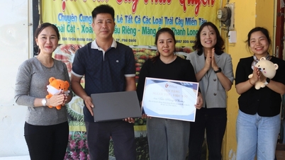 La Organización de Turismo de Corea acudió a Phu Quoc para agradecer al dueño del restaurante por haber encontrado a la anciana desaparecida.
