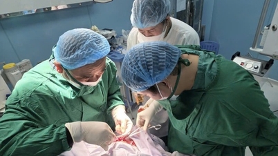 Бригада медиков в Кондао спасла рыбака с тяжёлыми травмами