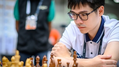 Le Tuan Minh won the gold medal in rapid chess at the Asian Mind Sports Games