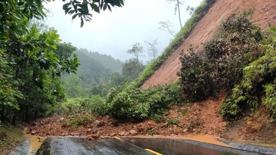 อุตสาหกรรมก่อสร้างดานังระดมกำลังรับมือฝนตกหนัก น้ำท่วมฉับพลัน และดินถล่ม