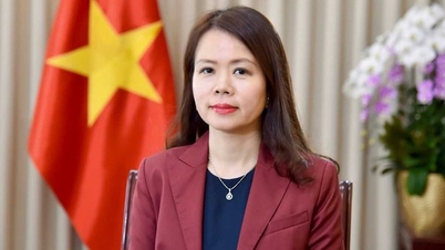 עיצוב העתיד, חזון חדש בין וייטנאם לאזור המזרח התיכון-אפריקה