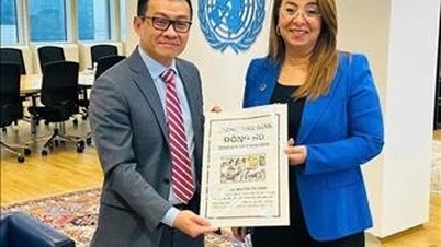 Zástupci OSN oceňují úsilí Vietnamu při organizaci historického ceremoniálu podpisu Úmluvy.