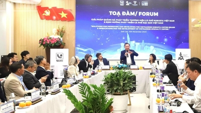 Promote and develop Robusta coffee brand and...