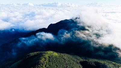 クアンチの「屋上」で雲海と魔法の苔の森を堪能しましょう