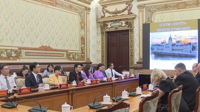 ទីក្រុងហូជីមិញជំរុញកិច្ចសហប្រតិបត្តិការលើវិស័យវប្បធម៌ ទេសចរណ៍ សារមន្ទីរ បណ្ណាល័យ និងអប់រំជាមួយហុងគ្រី។