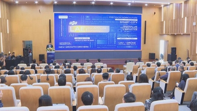 ឱកាសមាសសម្រាប់វិស័យសេដ្ឋកិច្ចទាបនៅវៀតណាម