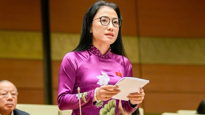 National Assembly delegates 'tormented' by medical violence