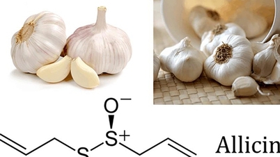 វិធី ៤យ៉ាង ប្រើខ្ទឹមស ជួយព្យាបាល និងការពារជំងឺគ្រុនផ្តាសាយ A