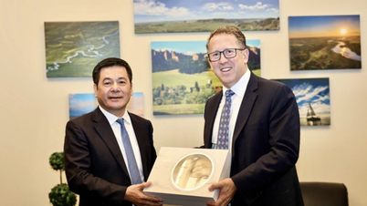 Việt Nam đạt được nhiều kết quả tích cực trong đàm phán thuế đối ứng tại Mỹ