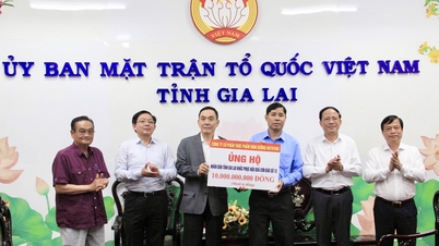 חברת Nutifood Nutrition Food Joint Stock Company תרמה 10 מיליארד וונד כדי לתמוך בתושבי מחוז ג'יה לאי להתגבר על תוצאות סופה מספר 13.