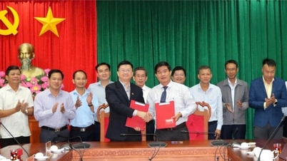 Fortalecimento da cooperação entre a província de Dak Lak e a Universidade de Economia da Cidade de Ho Chi Minh...