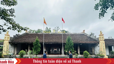 Tong Son promovează valoarea relicvelor