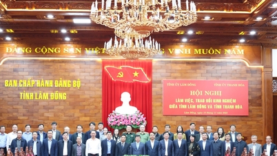 การเสริมสร้างความสัมพันธ์ความร่วมมือระหว่างลัมดงและทัญฮว้า