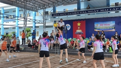 Kejohanan bola tampar wanita dan badminton lelaki dan wanita yang menarik untuk meraikan Hari Guru Vietnam 20 November di Sekolah Menengah Tan Loi.