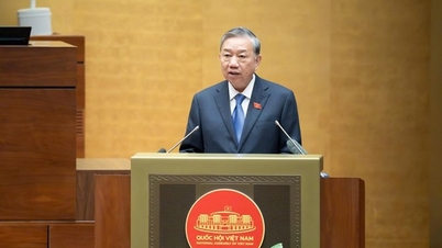 General Secretary: Do not allow the phenomenon of running for candidacy, running for votes, or group interests to occur.