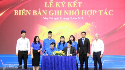 Nästan 400 tävlande deltar i finalomgången av Dong Nais tävling om engelska mästare 2025.