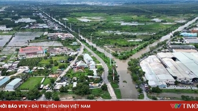 ۶۳ زمین کشاورزی دیگر در شهر هوشی مین به صورت آزمایشی برای ساخت مسکن در نظر گرفته شده است.