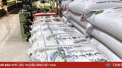 Gạo bán lẻ Nhật Bản tăng liên tiếp, cao nhất từ trước đến nay