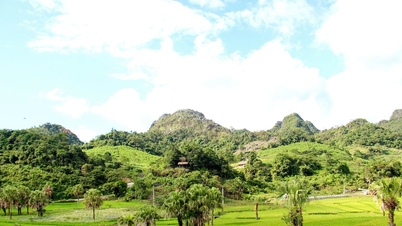 Gemeinde Van Lang, Thai Nguyen: Neue Reissorten eröffnen Ban Ten einen Weg aus der Armut