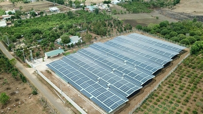 បច្ចេកវិទ្យាថាមពលថ្មី៖ ជំរុញការផ្លាស់ប្តូរពណ៌បៃតង