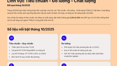 표준, 계측, 품질 분야: 2025년 10월 결과