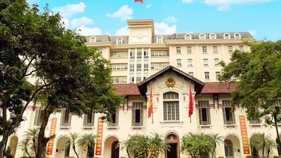 과학기술 분야의 정기 보고 제도 완성: 투명성, 효율성 및 디지털 전환 강화