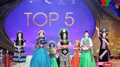 ຄວາມກ້າຫານ, ຄວາມສະຫລາດ, ຄວາມຫມັ້ນໃຈໃນຮອບພຶດຕິກໍາ