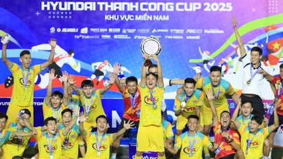 Viet Thang Steel vann VSC-S5-mästerskapet i den södra regionen.