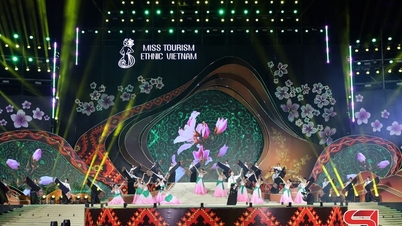 मिस वियतनाम एथनिक टूरिज्म 2025 की अंतिम रात में प्रसिद्ध कलाकार शामिल हुए
