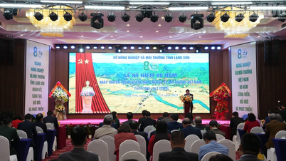 Yetenekli, özverili ve öncü "yeşil cephe askerleri" yetiştirmek