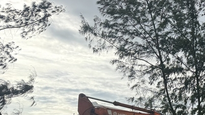 العاصفة القوية كالمايجي، دا نانغ في المنطقة المتضررة مباشرة تحتاج إلى استعدادات عاجلة