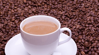 قیمت قهوه امروز ۱۶ نوامبر ۲۰۲۵: ۳ کاهش شدید متوالی