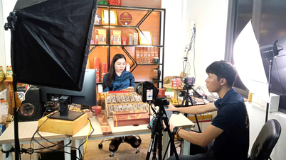 آوردن محصولات کشاورزی به «بازارهای دیجیتال»